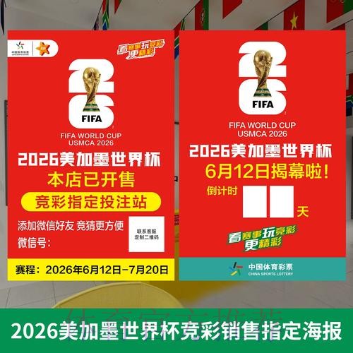 揭秘世界杯指定投注品牌的独特优势