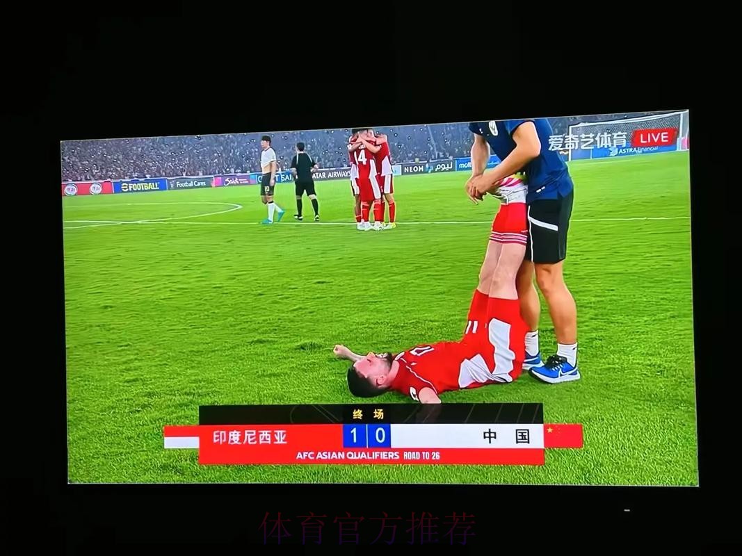高清免费世界杯直播回放全集观看